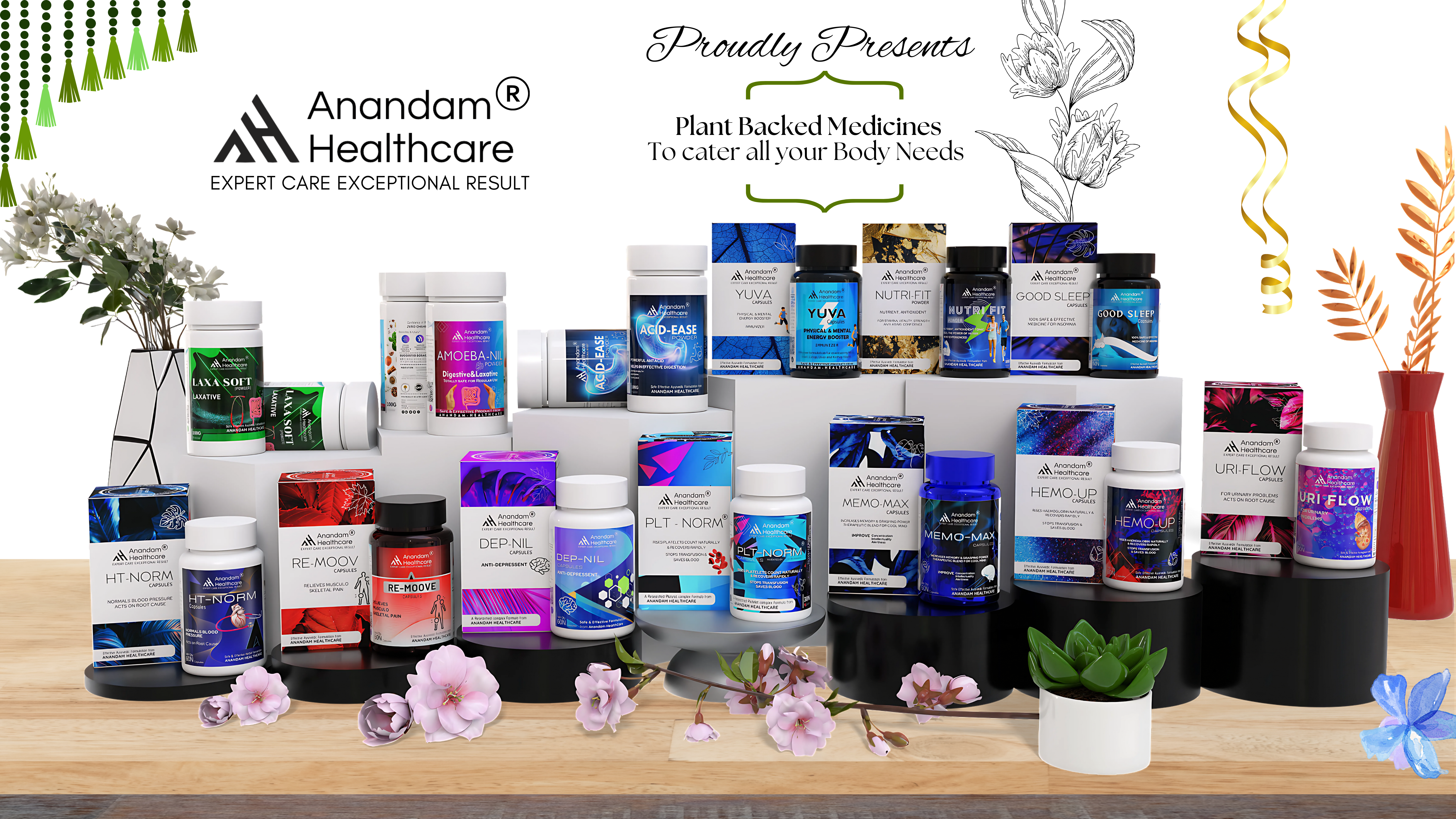 Anandam Healthcare's