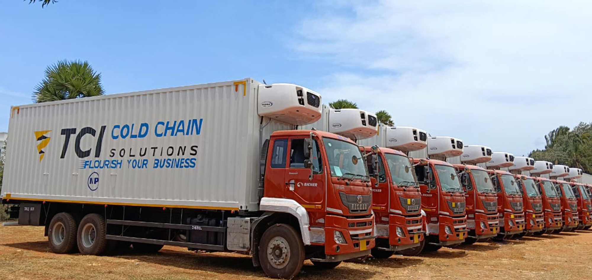 TCI Cold Chain