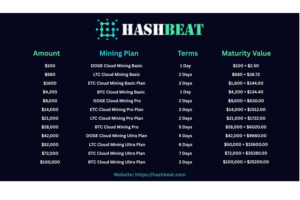 Cloud Mining VS Traditional Mining: Why XRP Investors Prefer HashBeat.com for Earning Up to $8,400 a Day | A Reporter Live