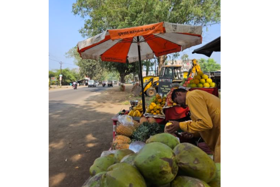 India’s Fruits: A Year-Round Source of Health and Energy
