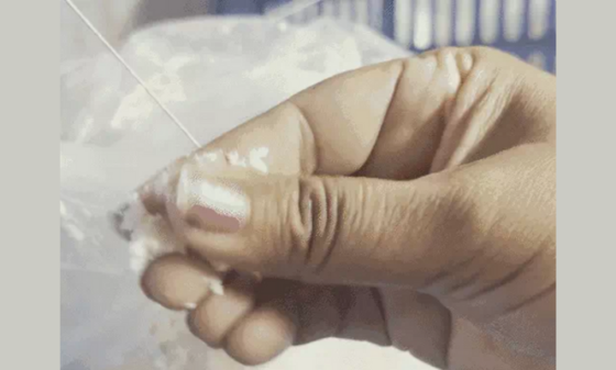 Surat Cracks Down on Fake Paneer: Surabhi Dairy Owner Booked After Samples Fail Quality Test