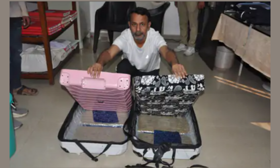 Smuggler Hid Two Drug Loads in One Bag; Surat Crime Branch Seizes ₹3.11 Crore Hybrid Marijuana