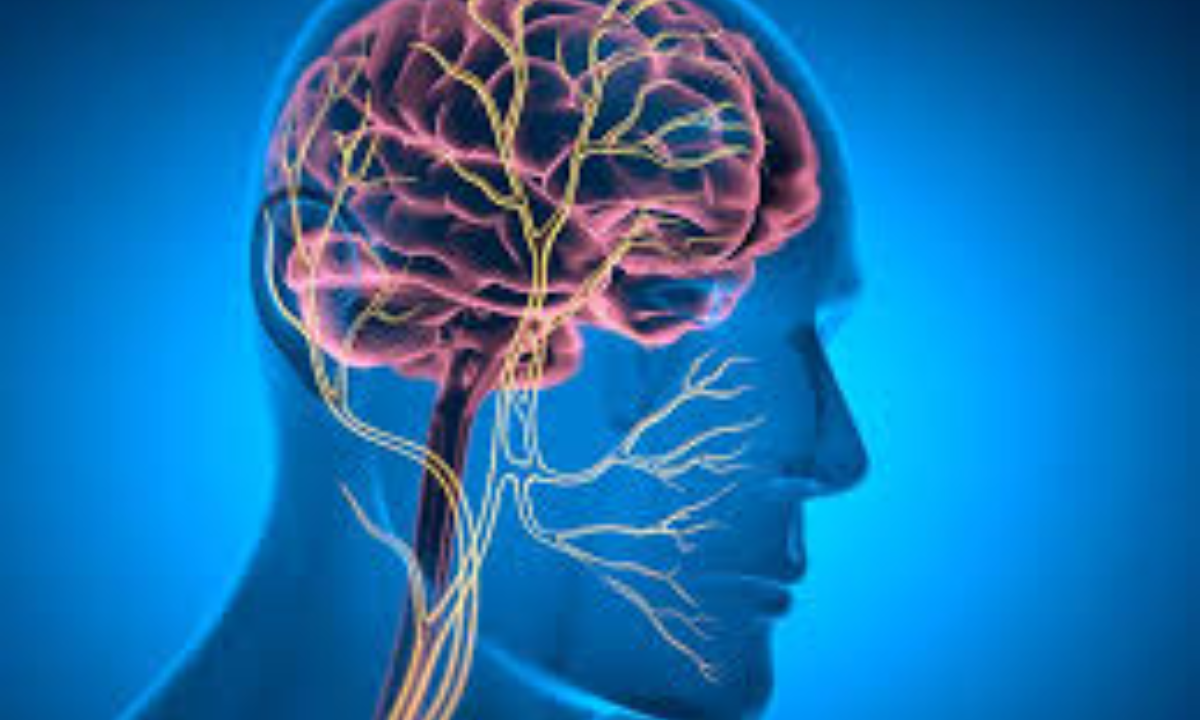 Cracking Cachexia: Brain–Liver Link in Cancer